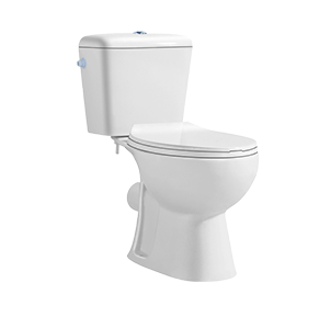 Classic Washdown Two-Piece Toilet With Seat For Bathroom,Round Front Washdown Rimless