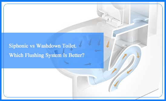 Siphonic vs Washdown Toilet. Which Flushing System Is Better?