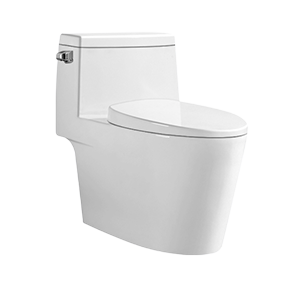 China Toilet Wholesale 12 inch Rough-in Skirted One-Piece Toilet Siphonic Single Flush