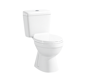 Compact Two-piece Round-front Dual-flush Complete Toilet with Seat Bowl