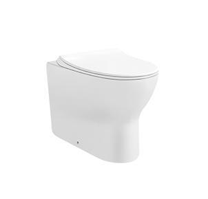 Skirted Rimless Back To Wall Toilet