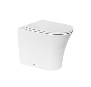 Elongated Skirted Back To Wall Toilet With Wash Down Trapway(Bowl Only)