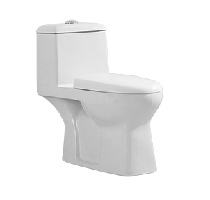 Compact Elongated One-piece Toilet,Wash Down Flushing,Seat Cover Included