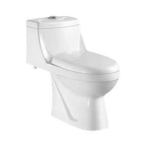 1 piece elongated toilet Compact,S-trap Wash Down Flushing System
