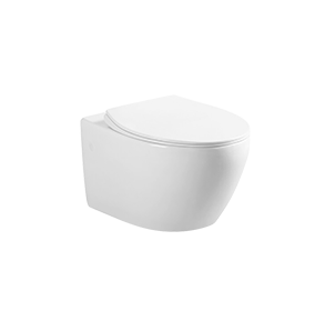 China Wall Mounted Toilet Manufacturer Rimless, Seat Included