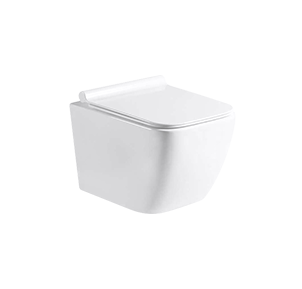 Western Toilet Seat Wall Mounted